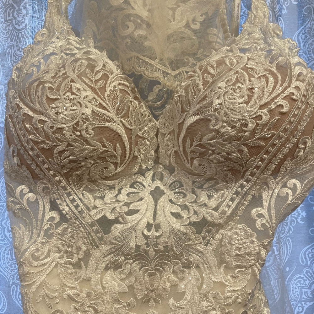 Stella York Wedding Dress 7394 - Picture 7 of 13